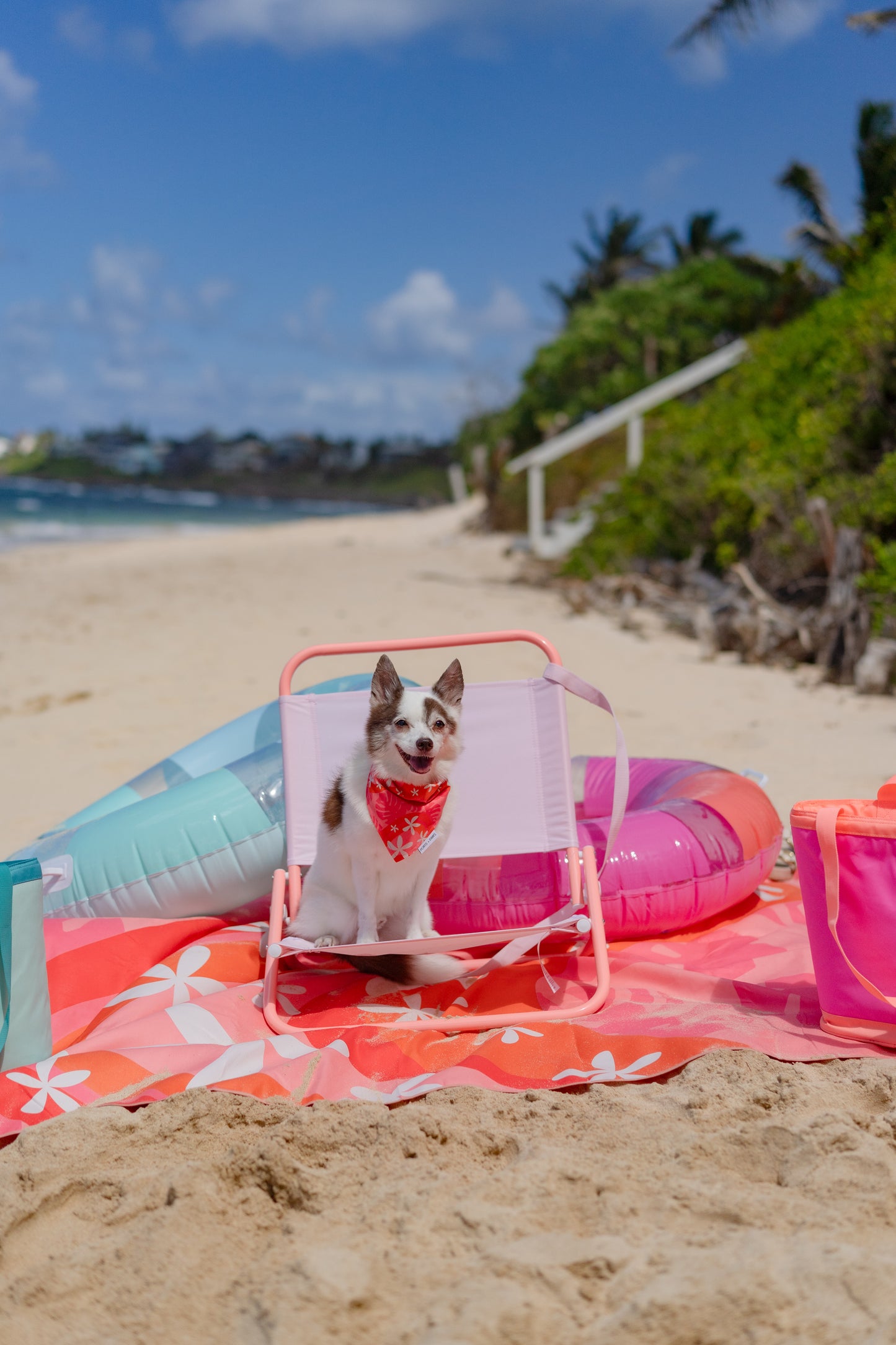 XL TOWEL - ISLAND BREEZE POG