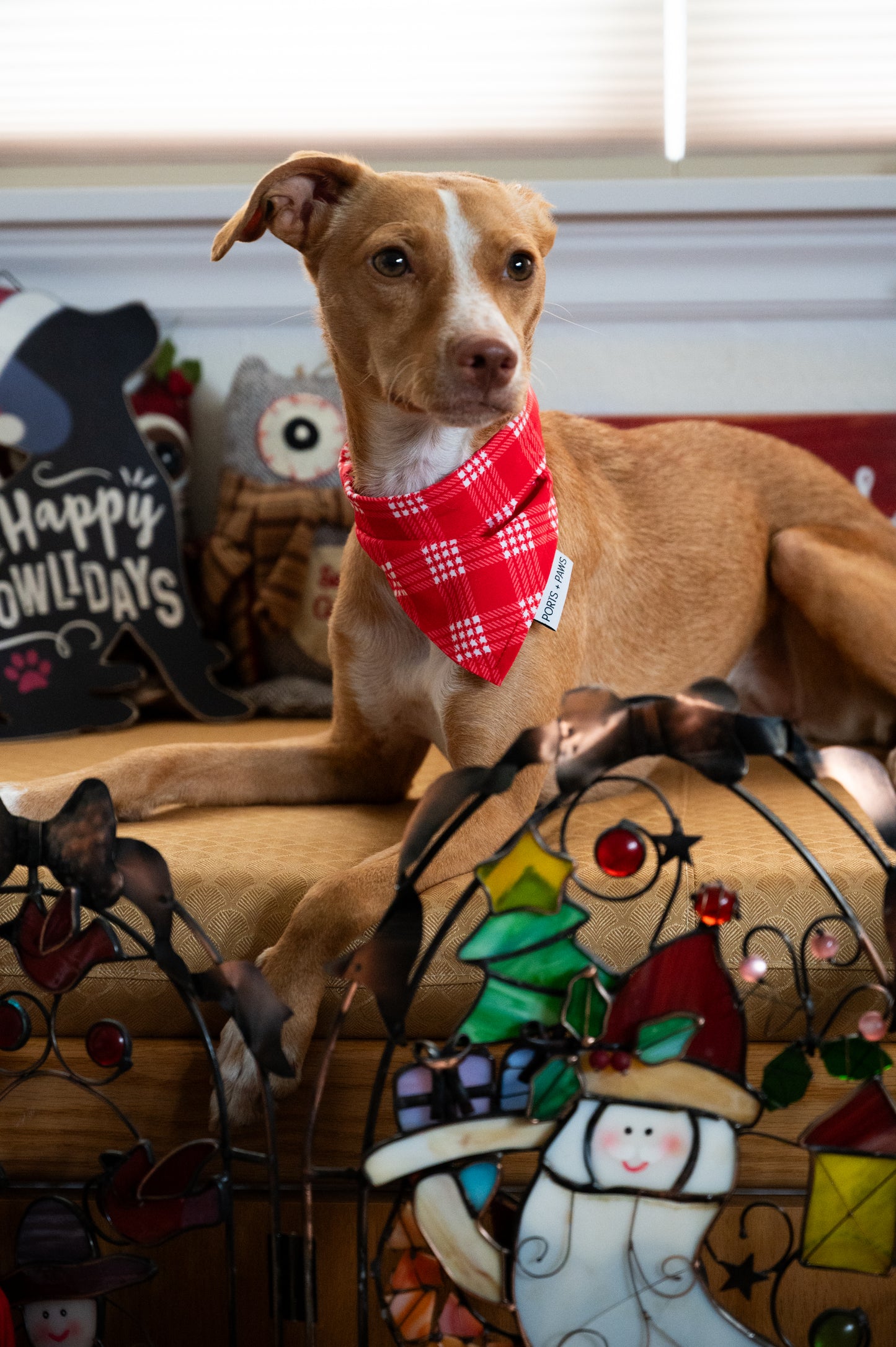 QUICK DRY BANDANA - PALAKA RED