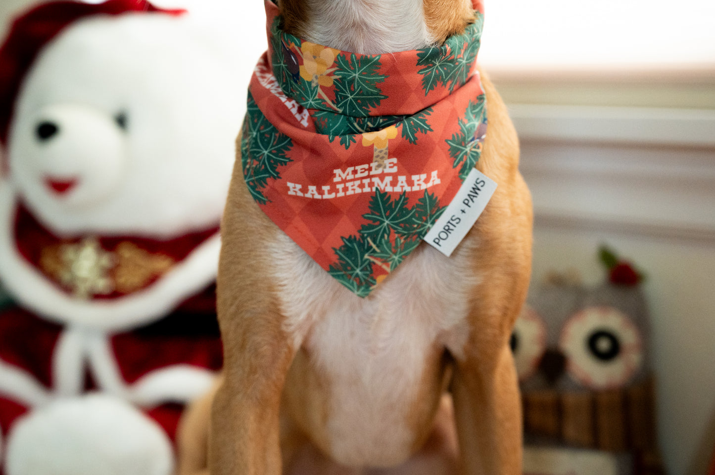 QUICK DRY BANDANA - MYNAH BIRD