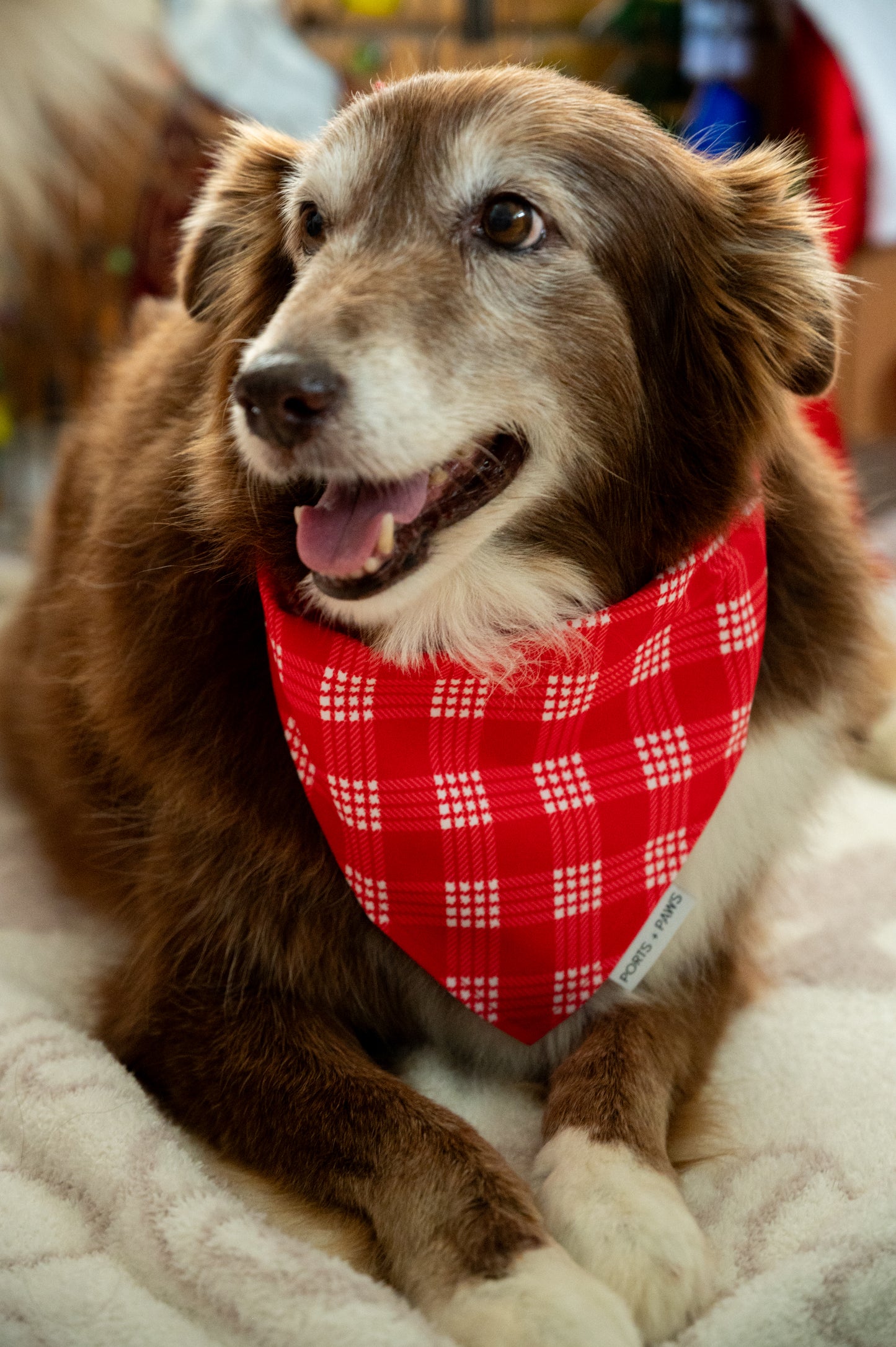QUICK DRY BANDANA - PALAKA RED