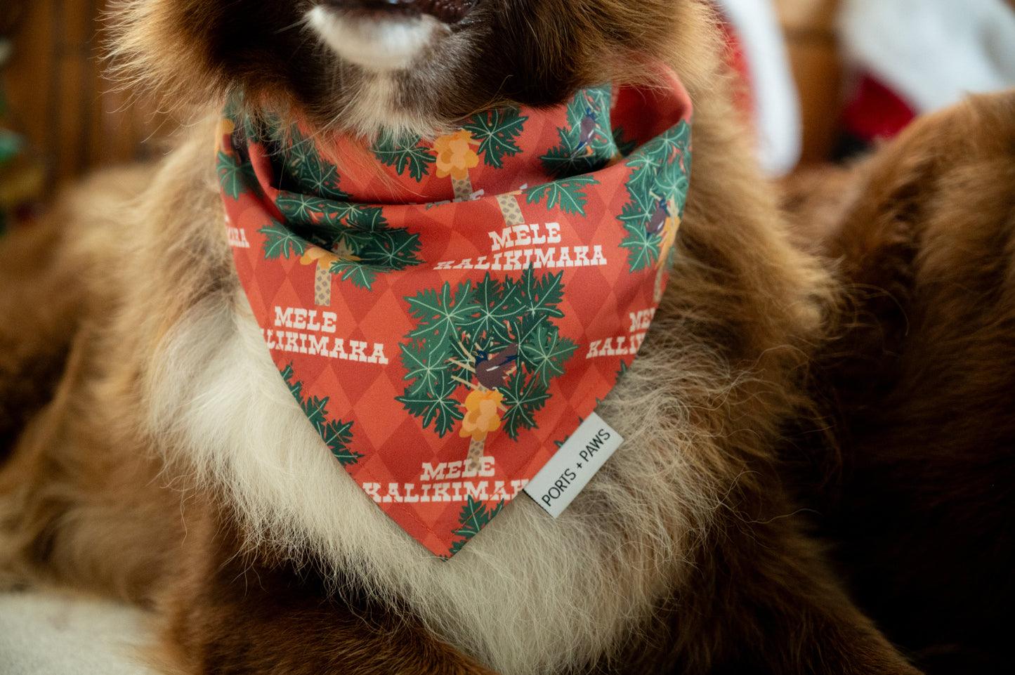 QUICK DRY BANDANA - MYNAH BIRD