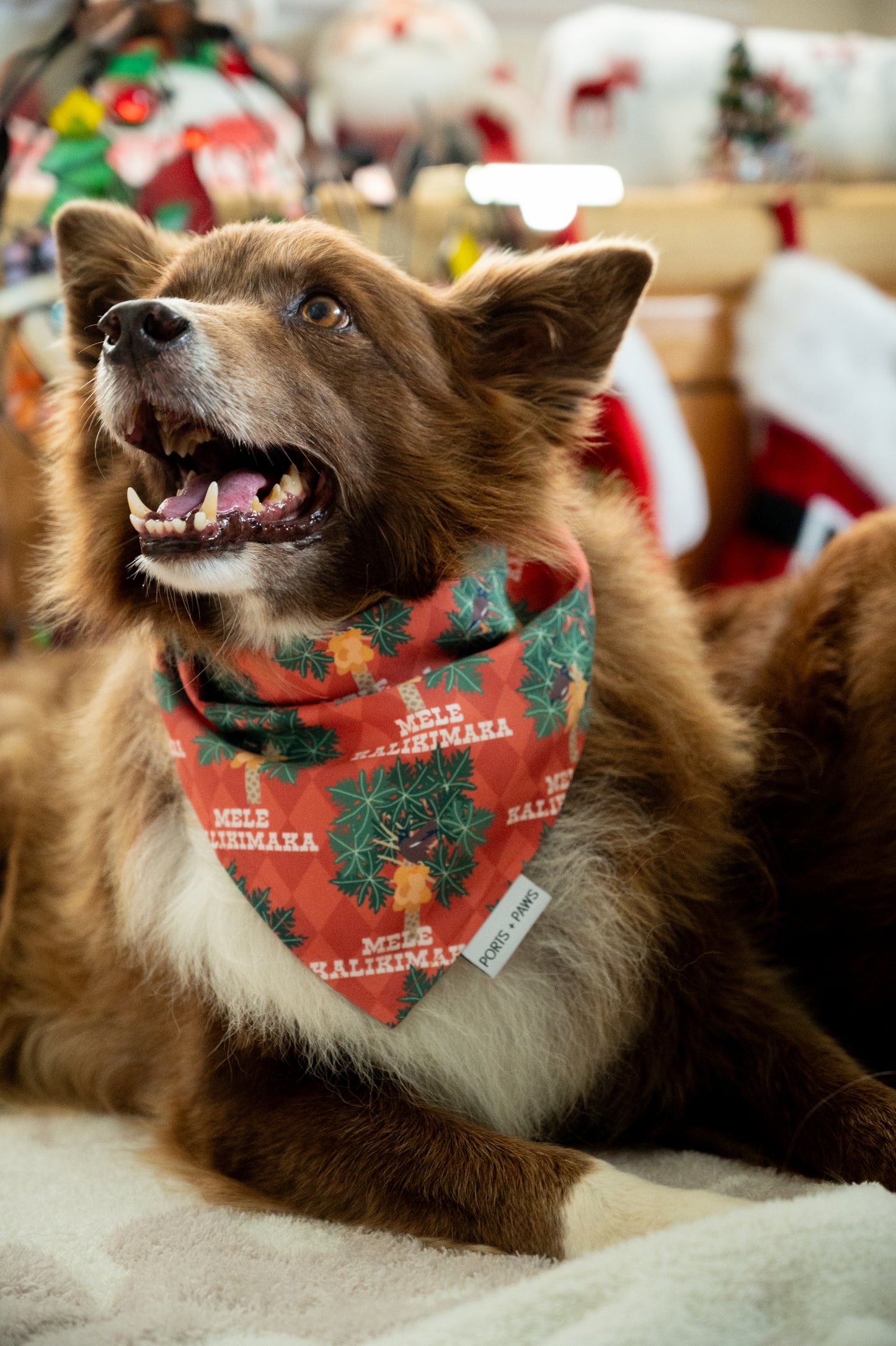 QUICK DRY BANDANA - MYNAH BIRD