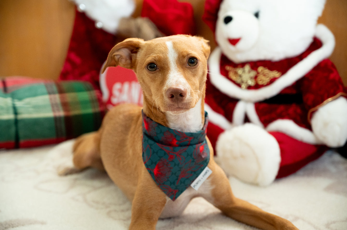 QUICK DRY BANDANA - HOLIDAY OHIA