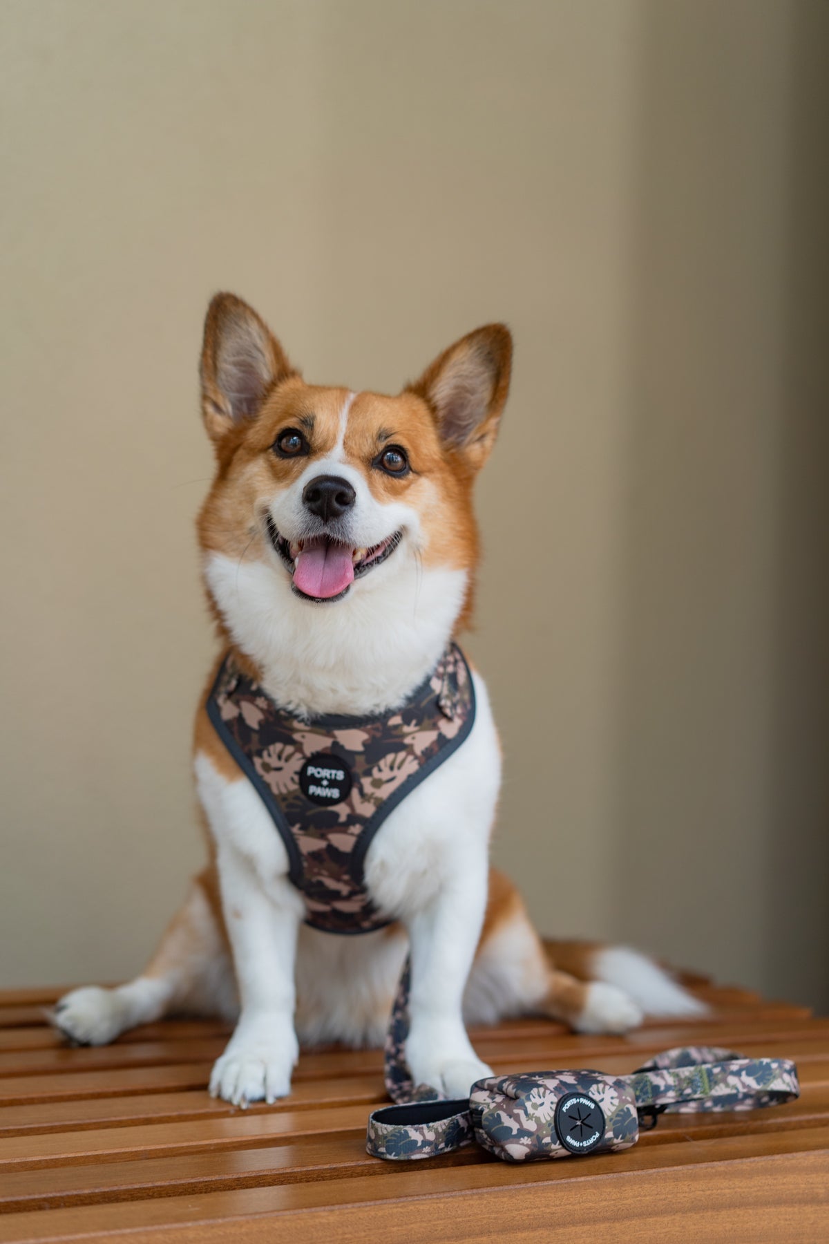 LEASH - PARADISE CAMO