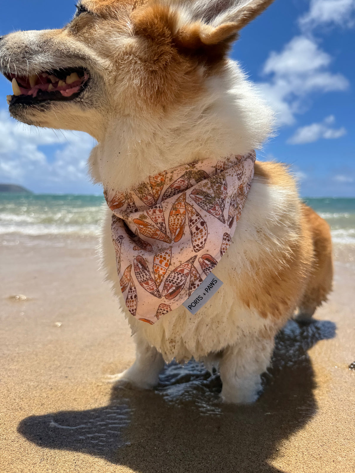QUICK DRY BANDANA - MITER SHELL