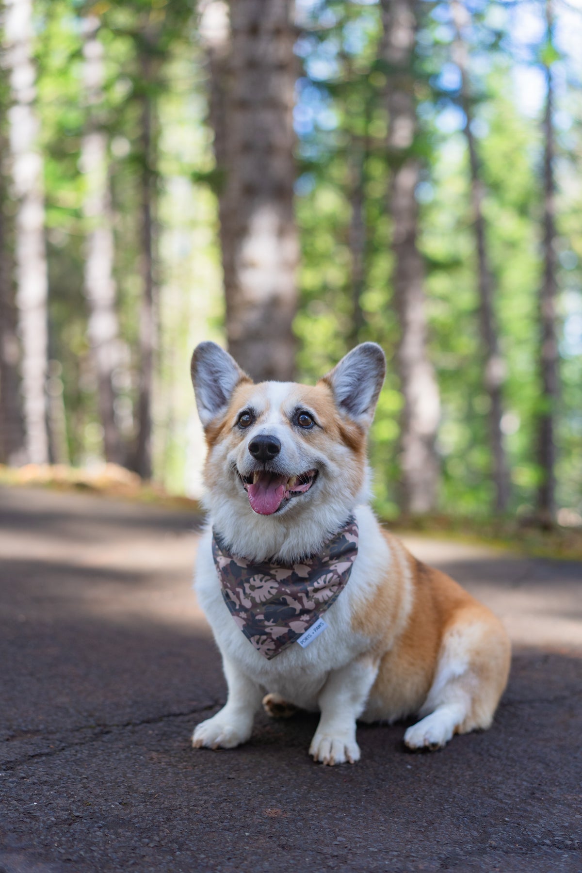 QUICK DRY BANDANA - PARADISE CAMO