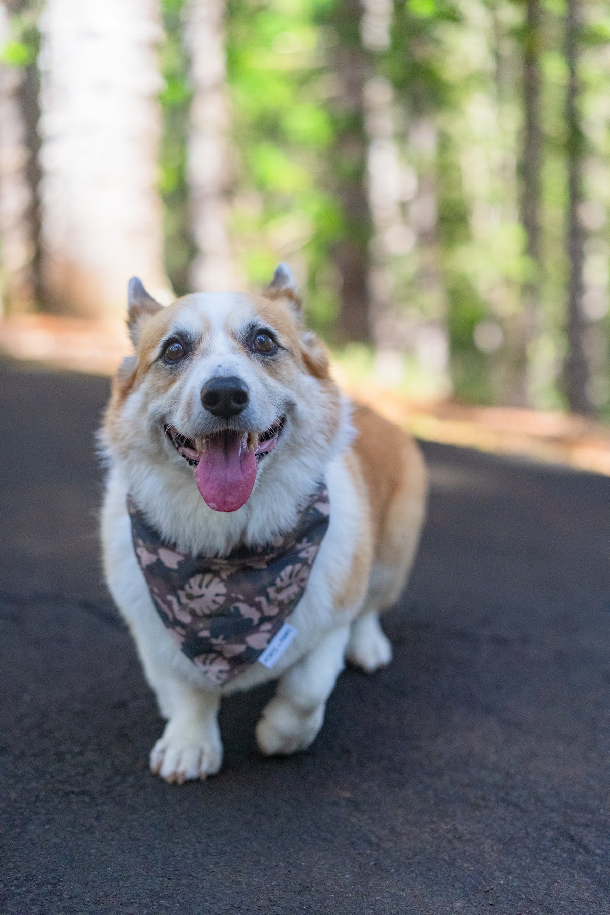 QUICK DRY BANDANA - PARADISE CAMO