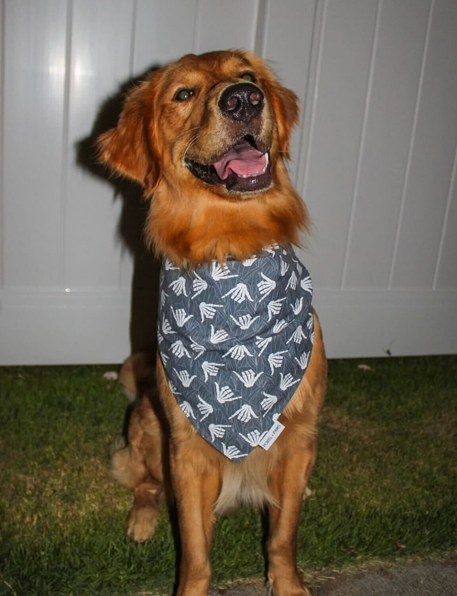 QUICK DRY BANDANA - SHAKA SKELETON