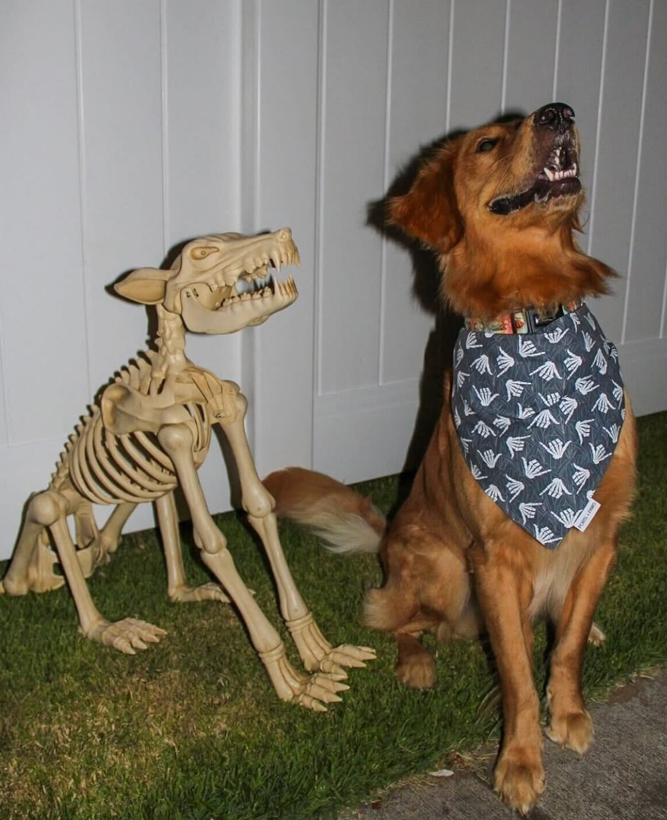 QUICK DRY BANDANA - SHAKA SKELETON