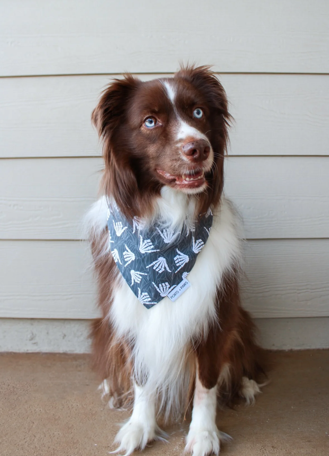 QUICK DRY BANDANA - SHAKA SKELETON