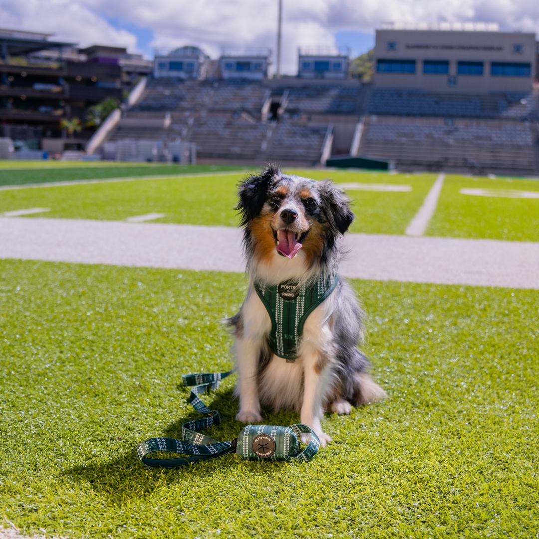 POOP BAG HOLDER - UH WARRIOR GREEN