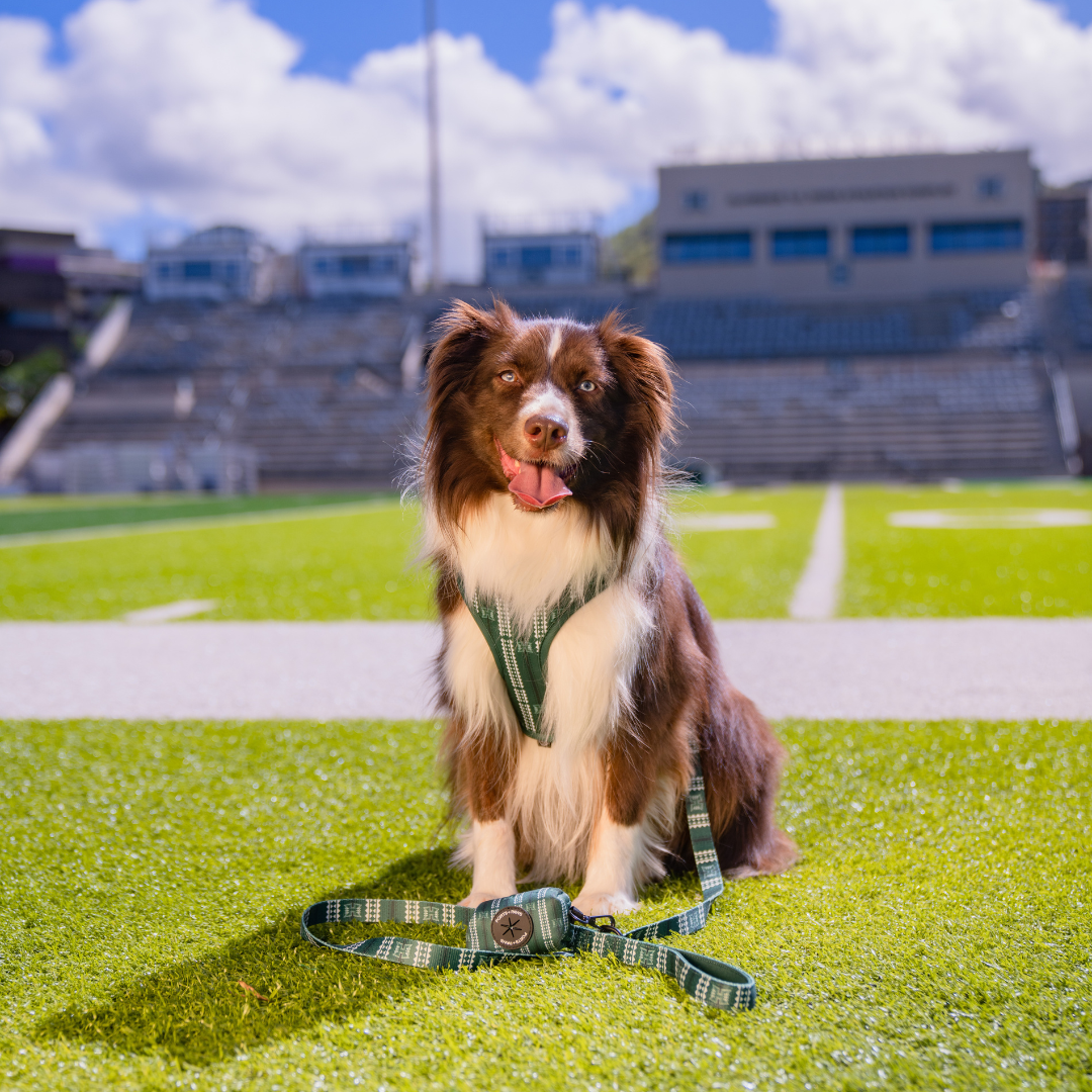 POOP BAG HOLDER - UH WARRIOR GREEN