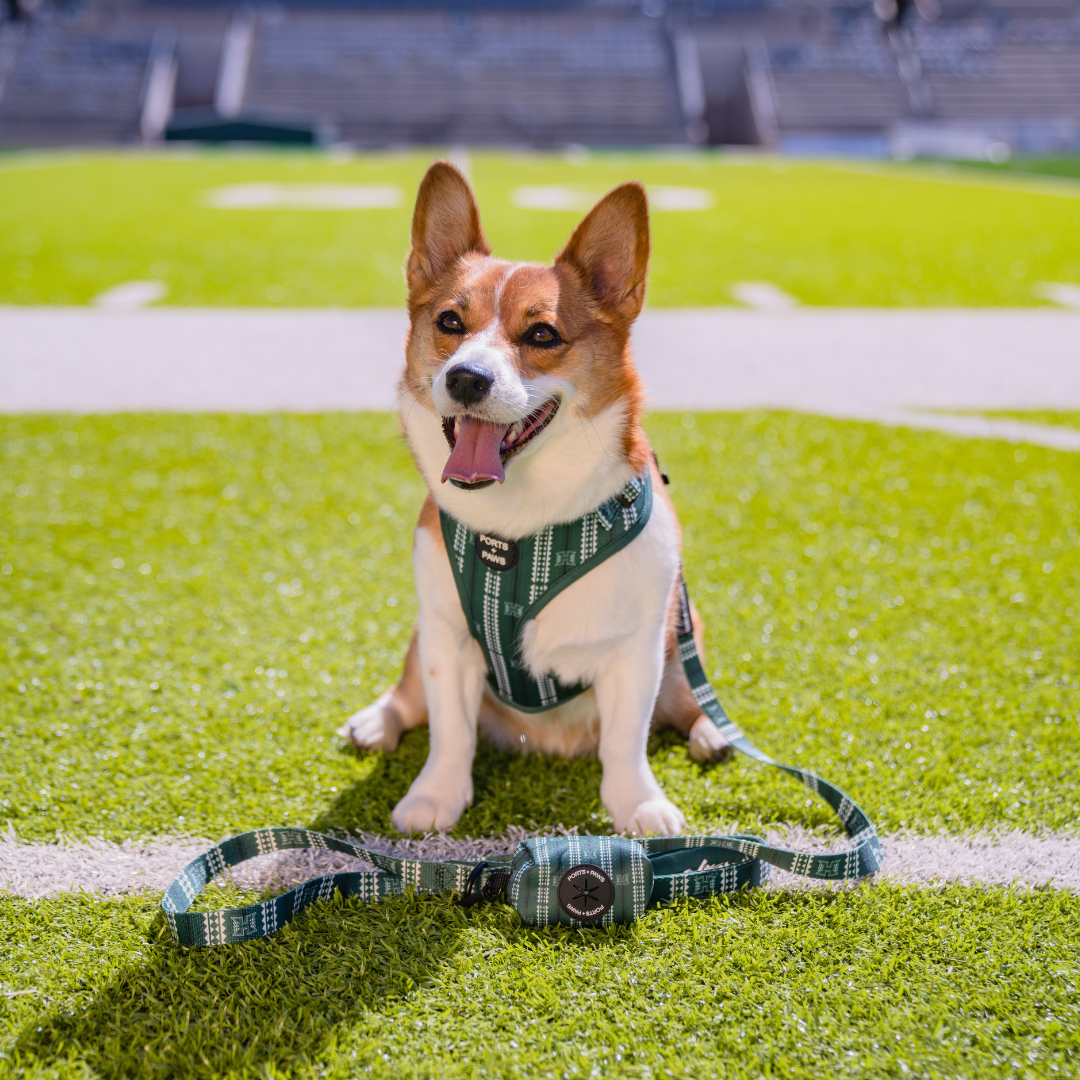 POOP BAG HOLDER - UH WARRIOR GREEN