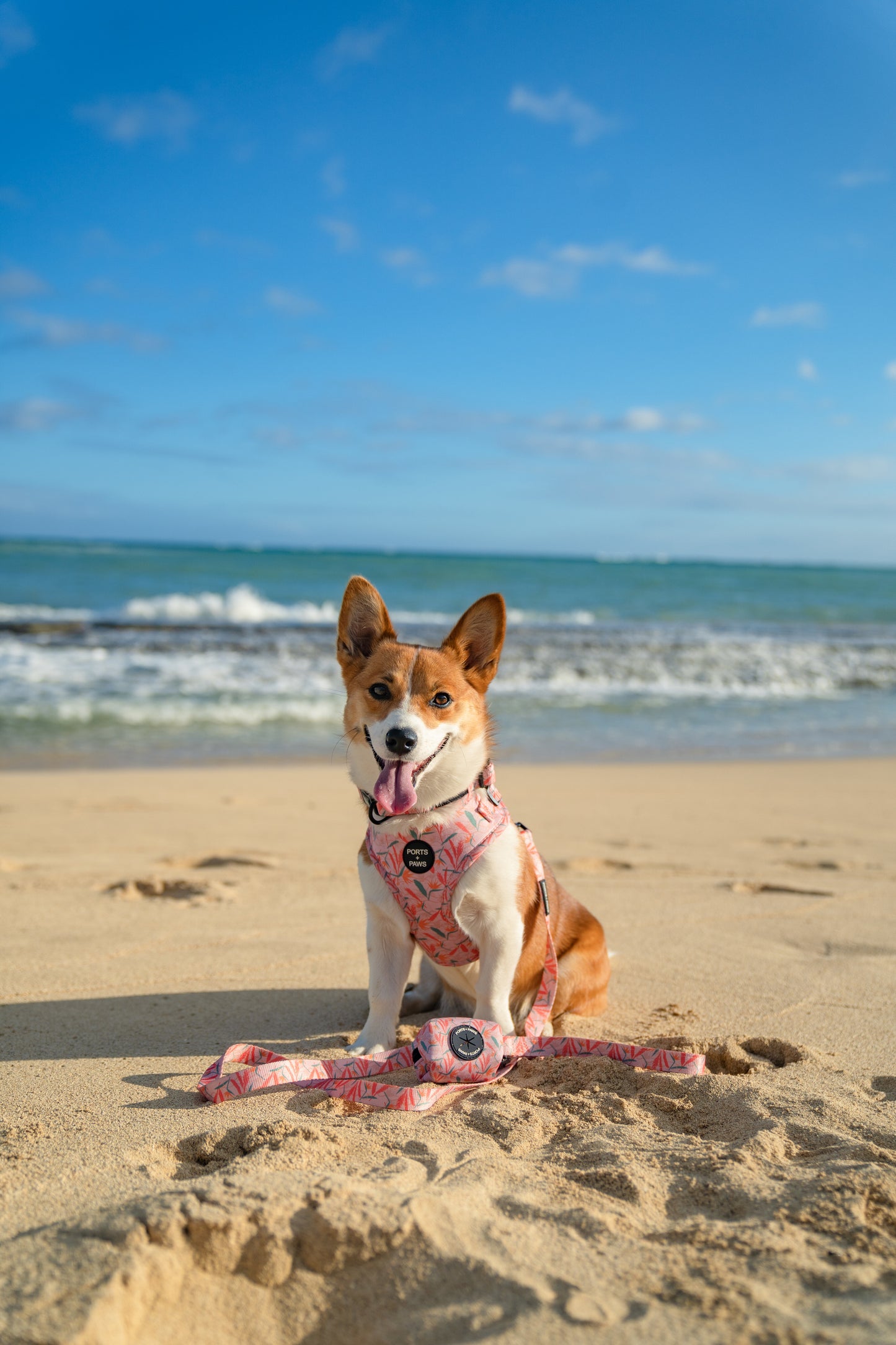 POOP BAG HOLDER - PAIKO