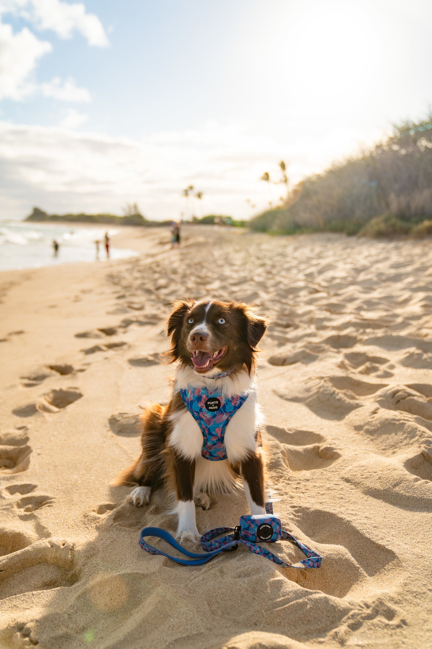 POOP BAG HOLDER - PORTER