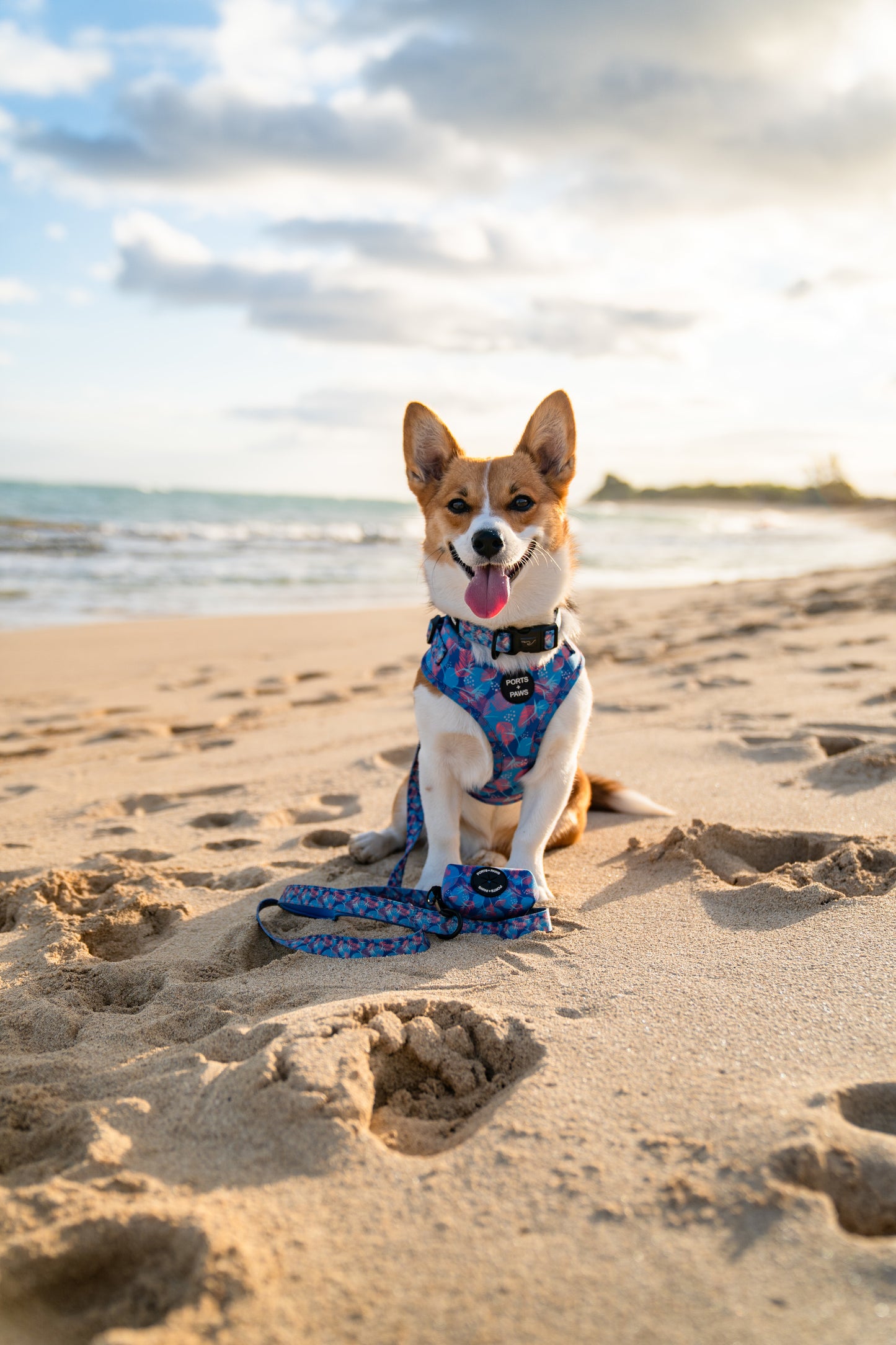 POOP BAG HOLDER - PORTER