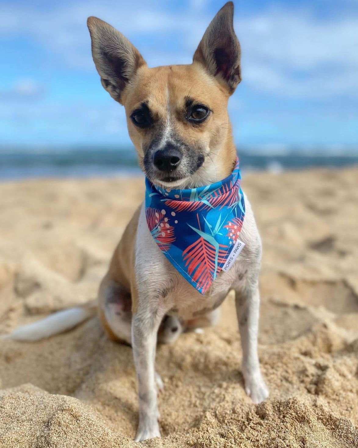 QUICK DRY BANDANA - PORTER