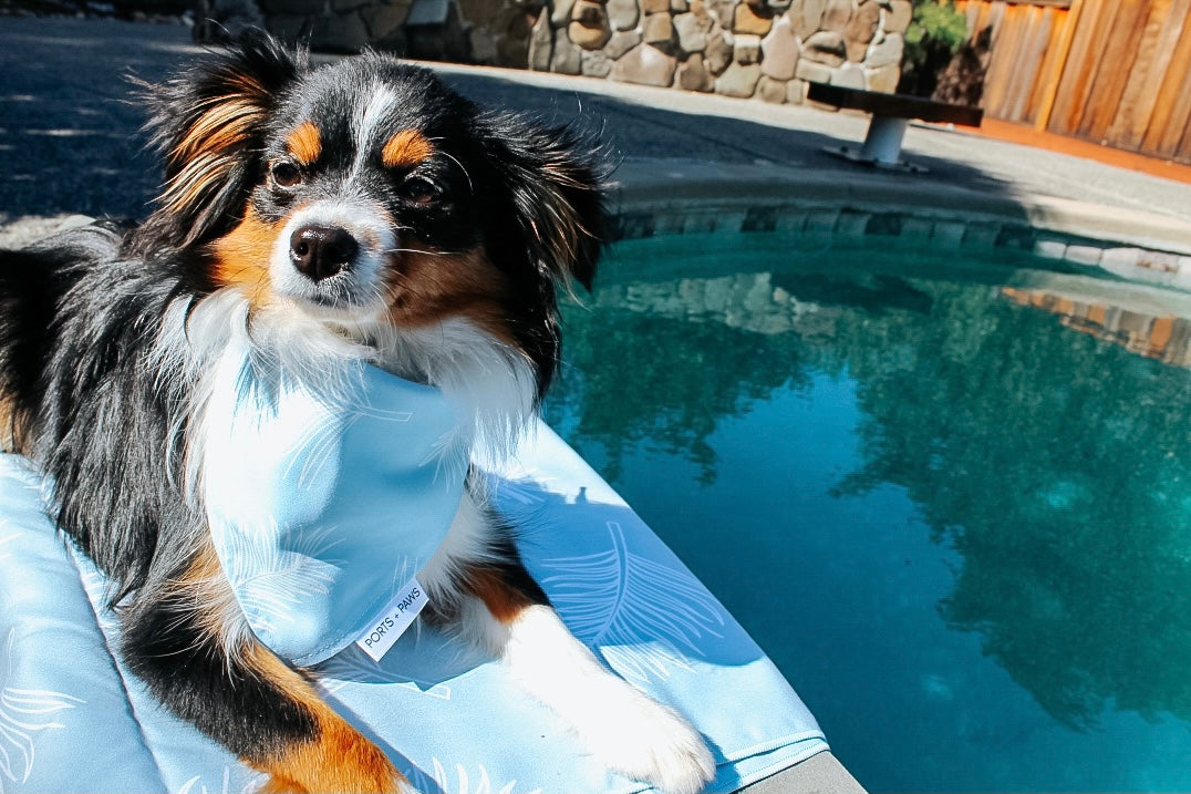 QUICK DRY BANDANA - CLOUD BLUE PALM