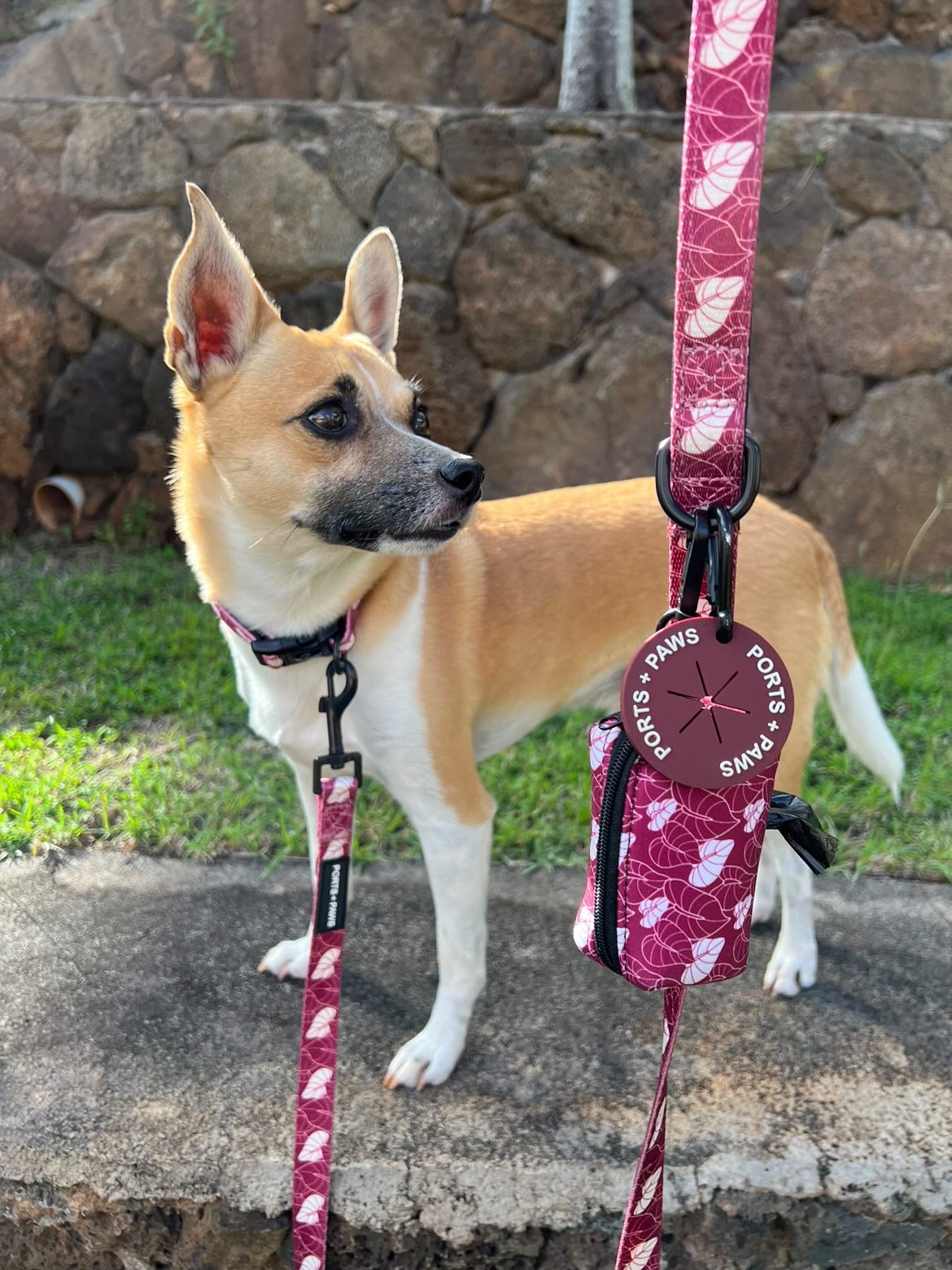 OPALA POOP HOLDER - MAROON