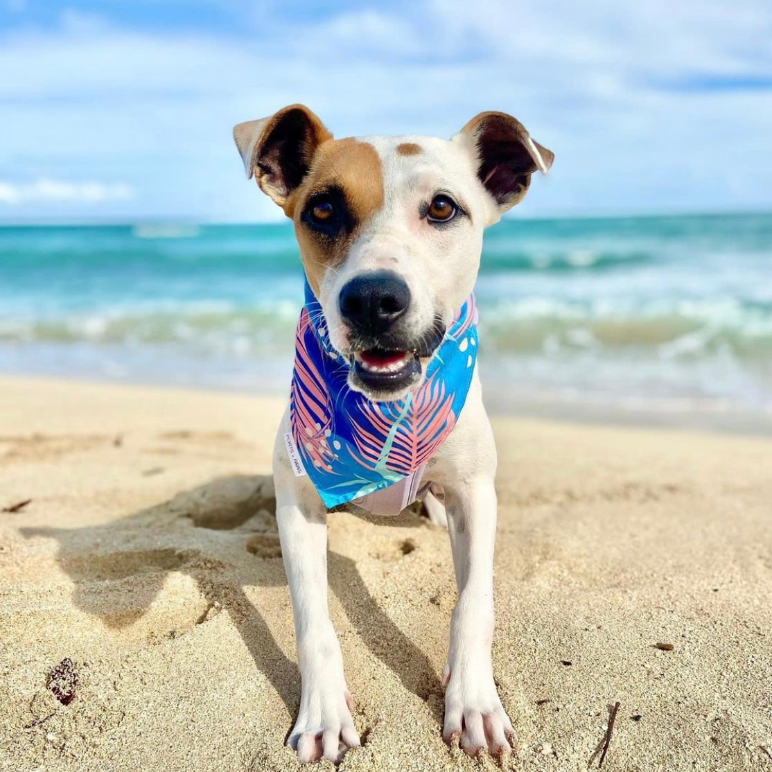 QUICK DRY BANDANA - PORTER