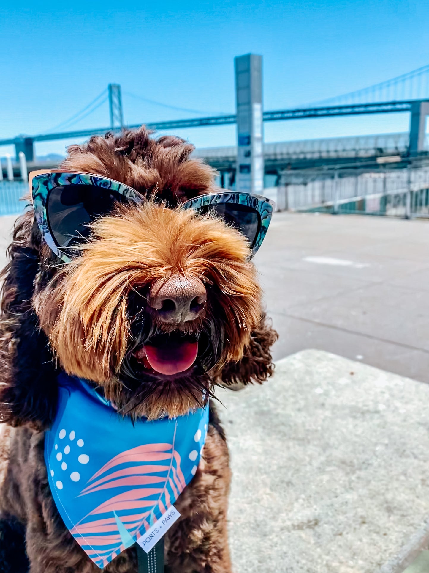 QUICK DRY BANDANA - PORTER