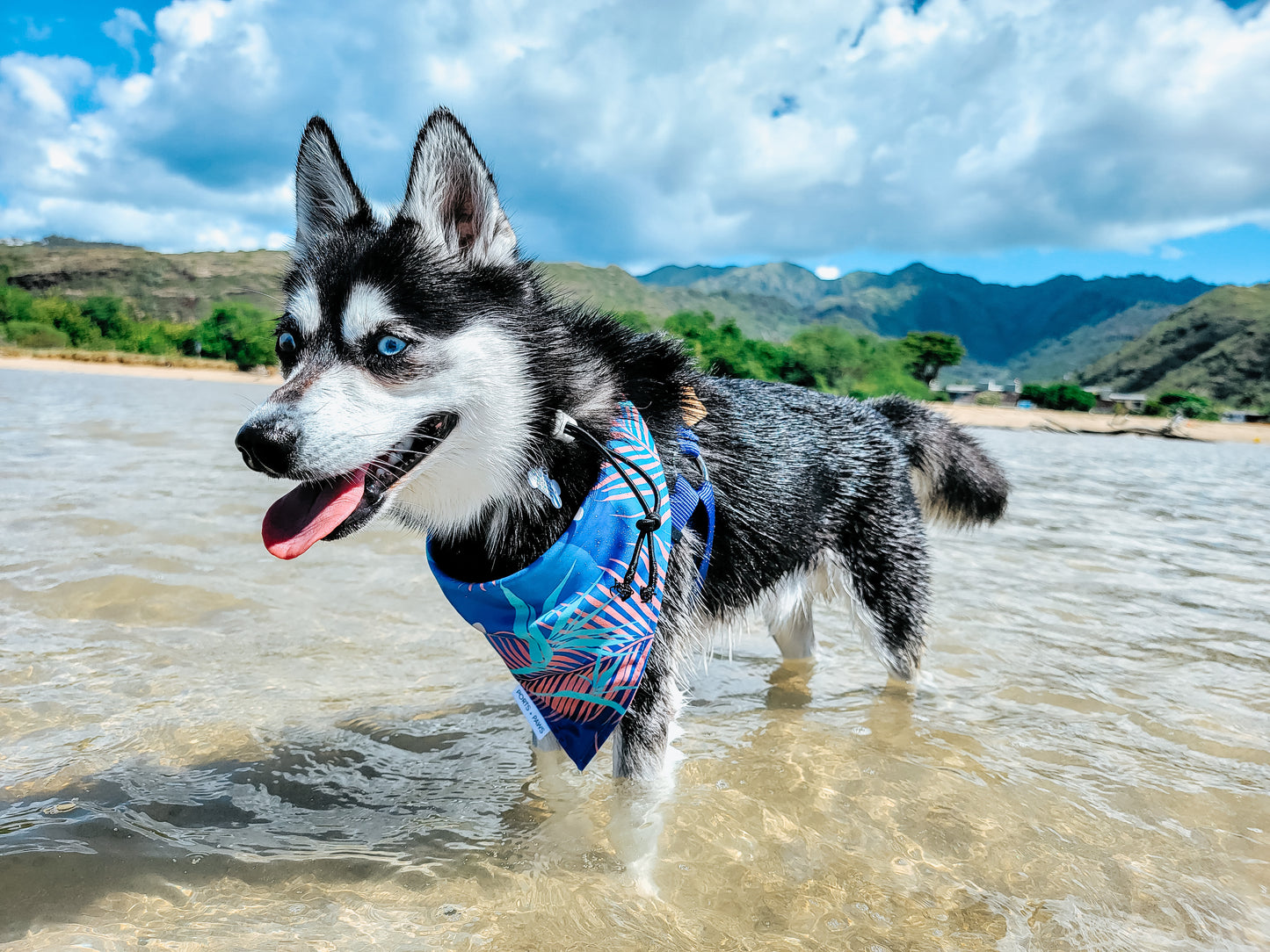 QUICK DRY BANDANA - PORTER