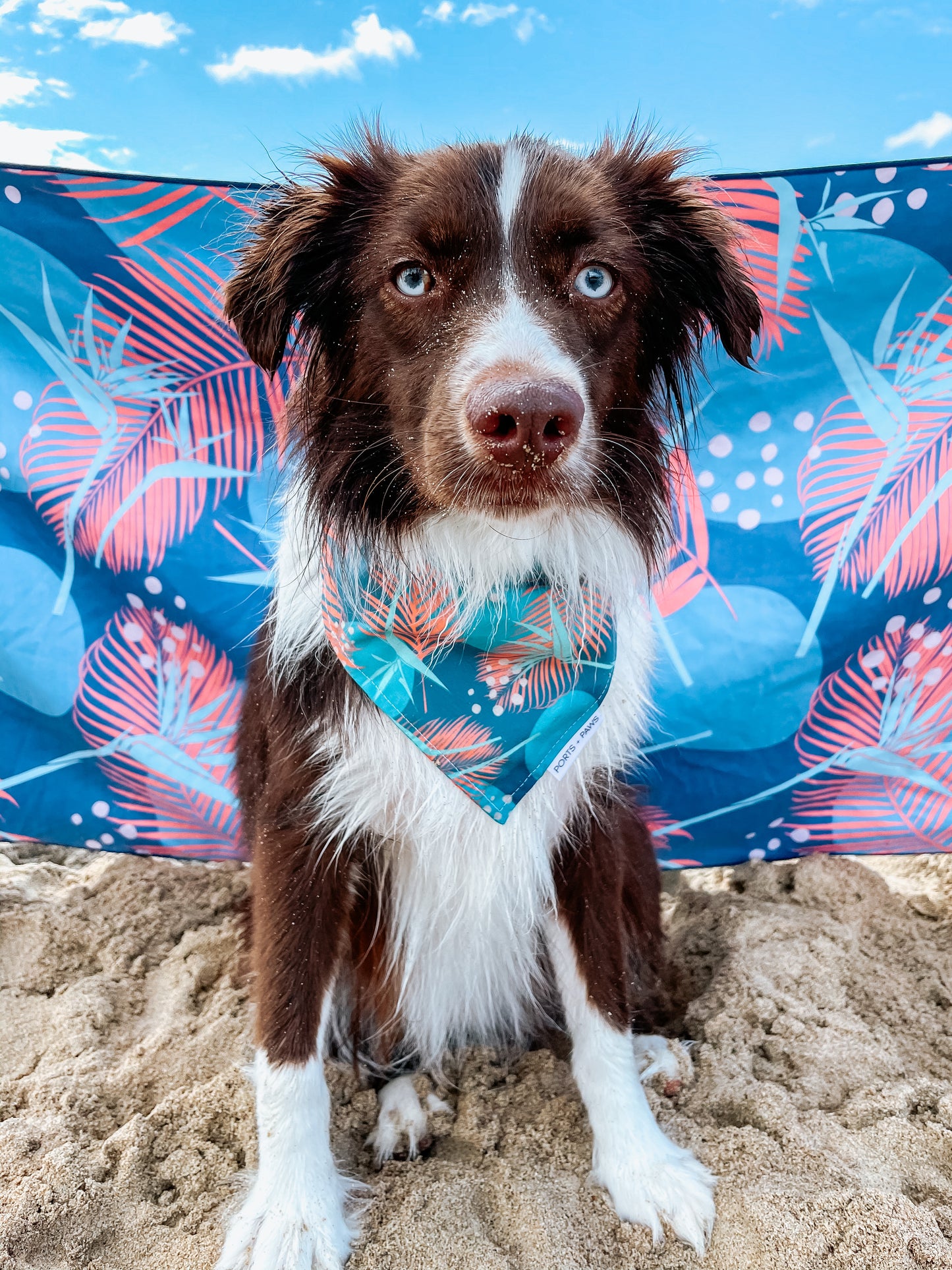 QUICK DRY BANDANA - PORTER