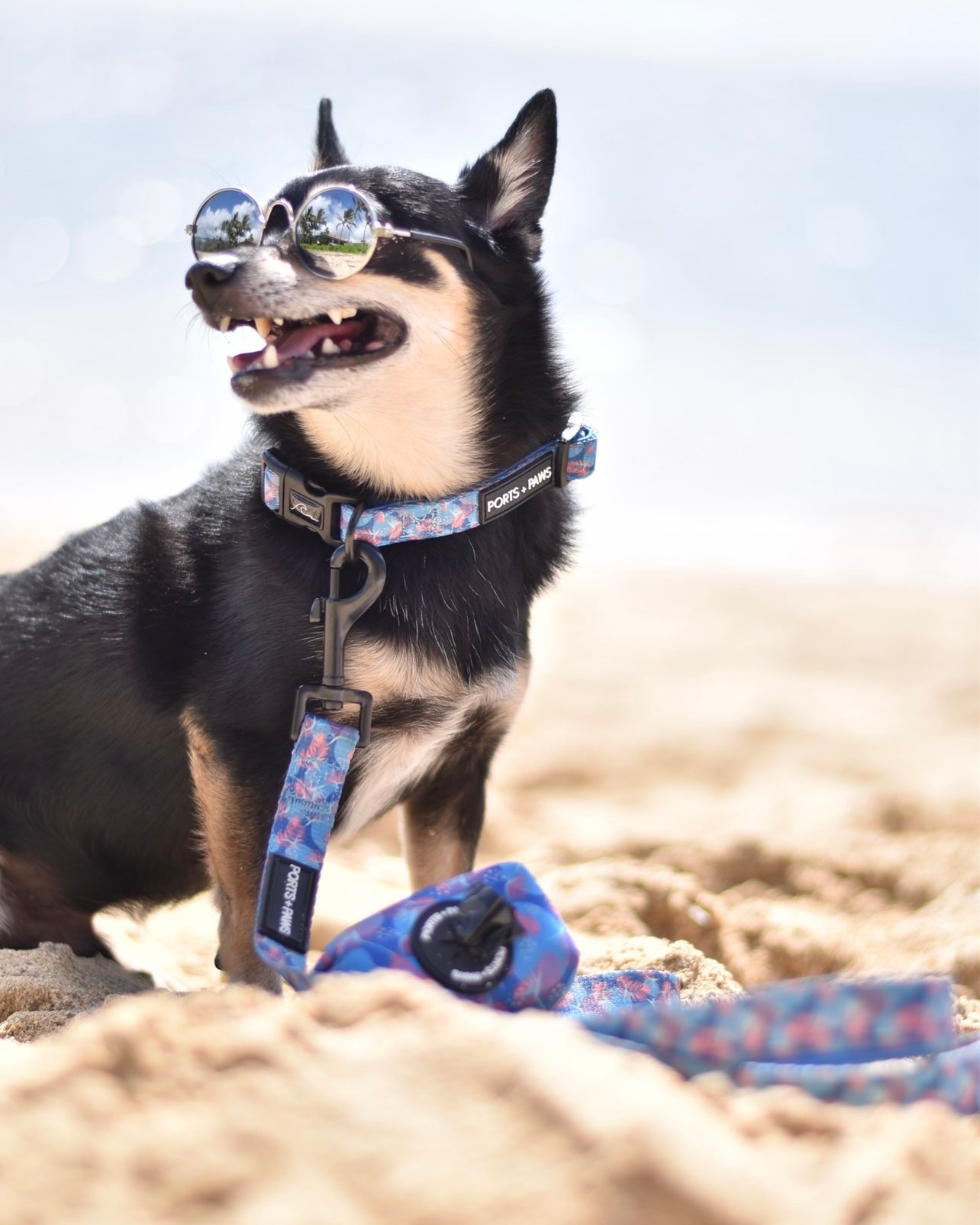 POOP BAG HOLDER - PORTER