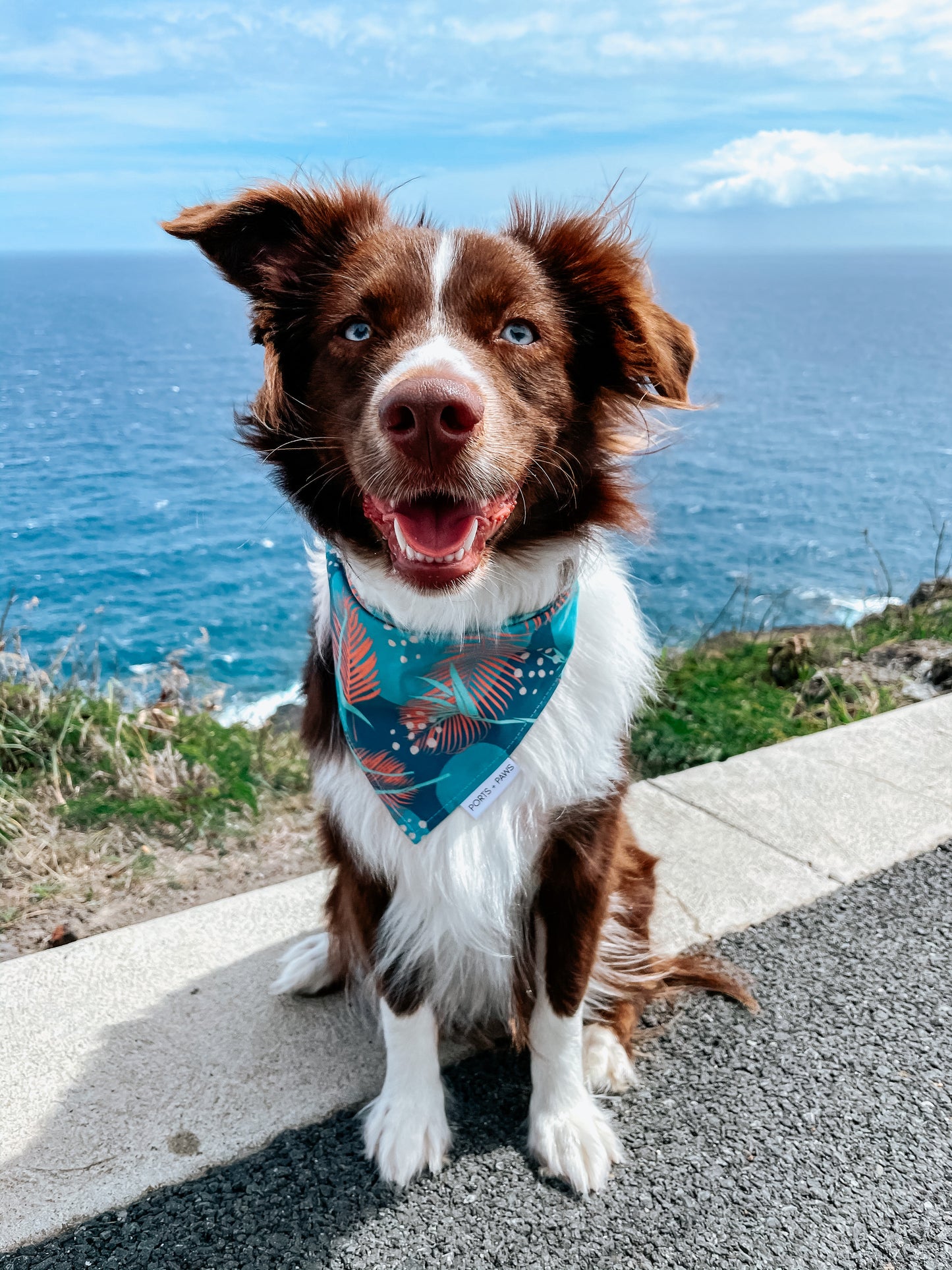 QUICK DRY BANDANA - PORTER