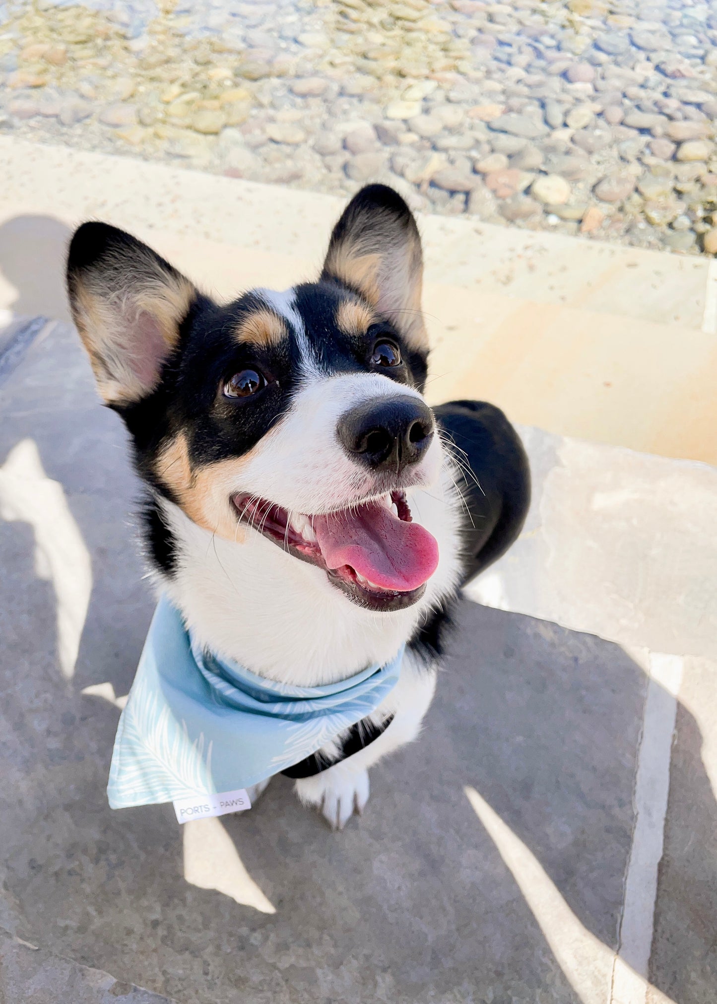 QUICK DRY BANDANA - CLOUD BLUE PALM