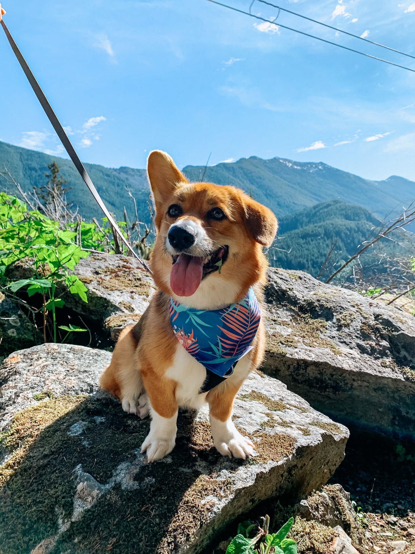 QUICK DRY BANDANA - PORTER