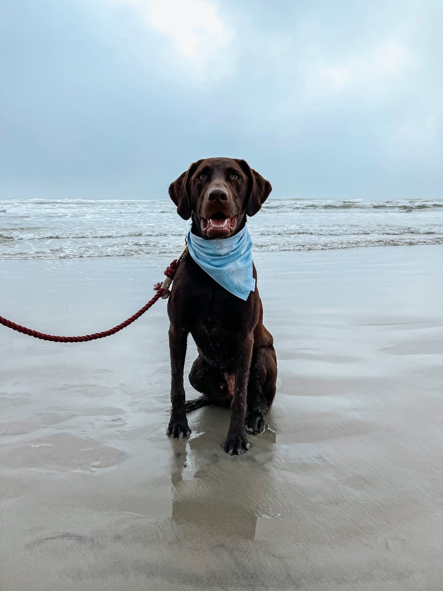 QUICK DRY BANDANA - CLOUD BLUE PALM