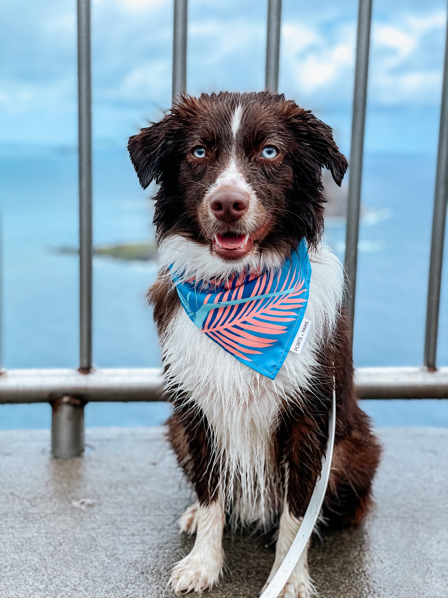 QUICK DRY BANDANA - PORTER