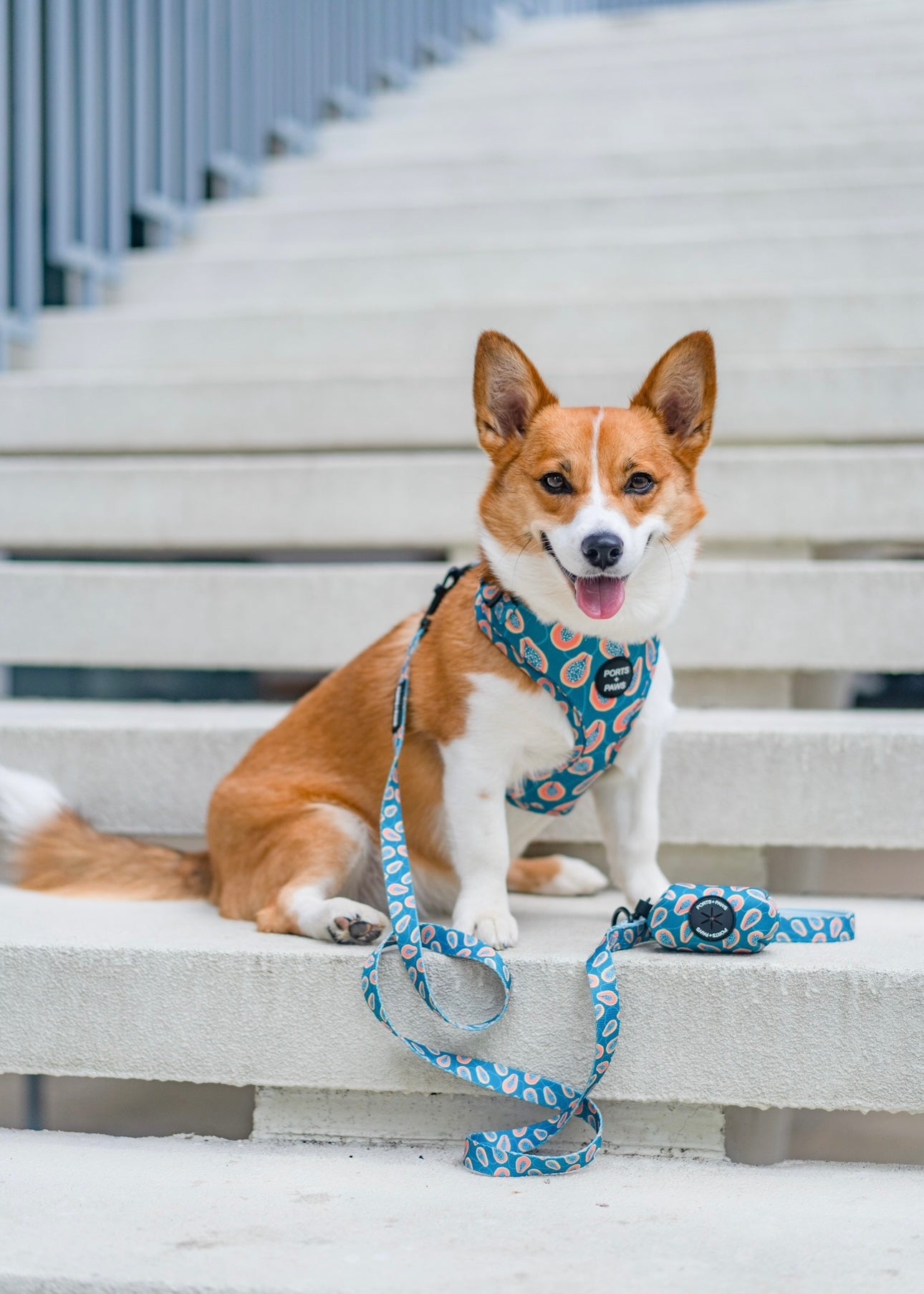 ADJUSTABLE HARNESS - PAPAYA