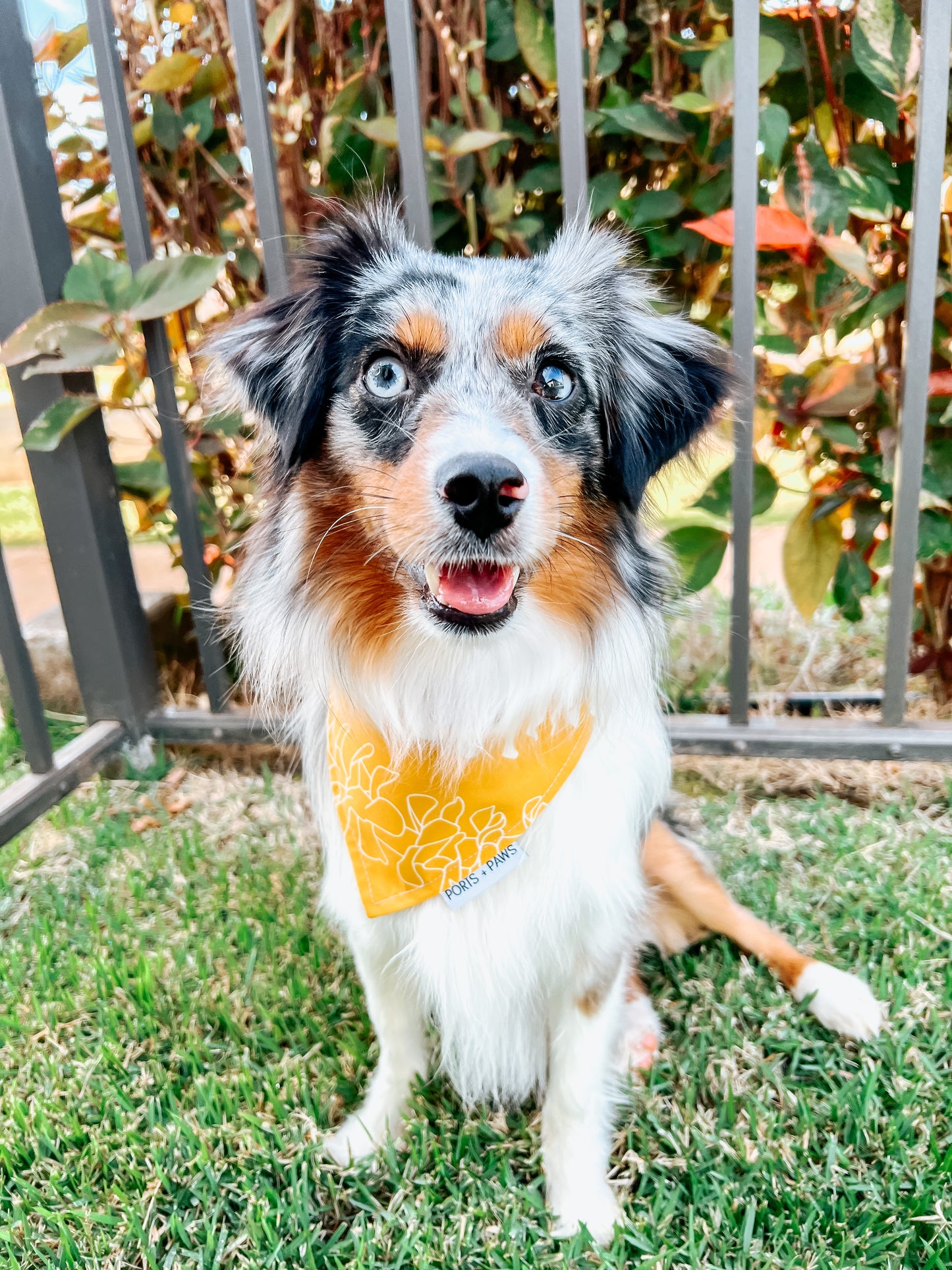 QUICK DRY BANDANA - PUAKENIKENI