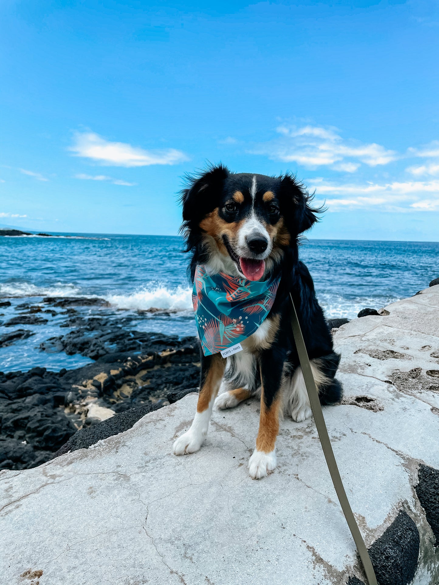 QUICK DRY BANDANA - PORTER