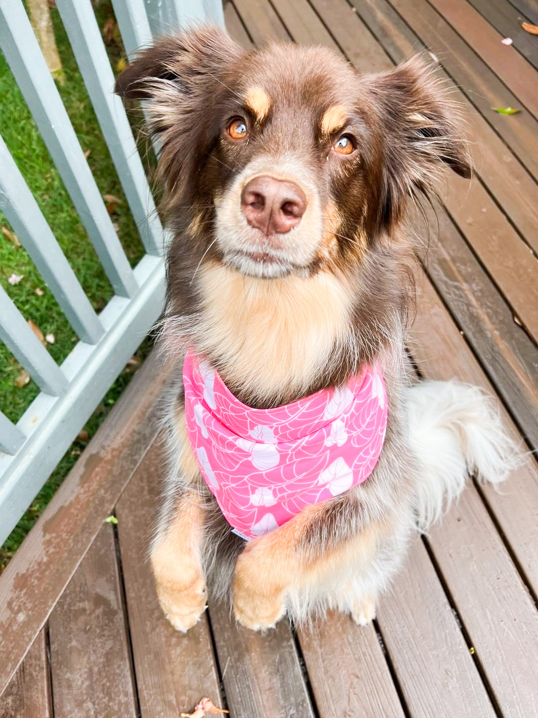 QUICK DRY BANDANA - ANTHURIUM PINK