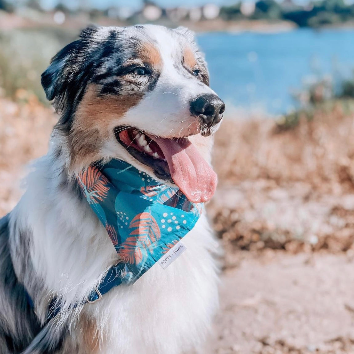 QUICK DRY BANDANA - PORTER