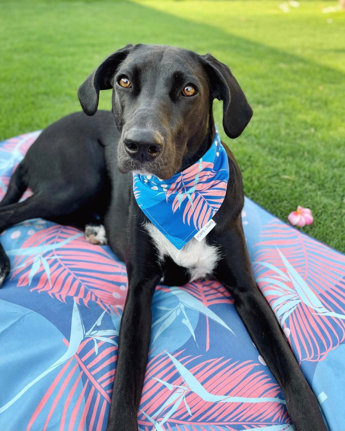 QUICK DRY BANDANA - PORTER