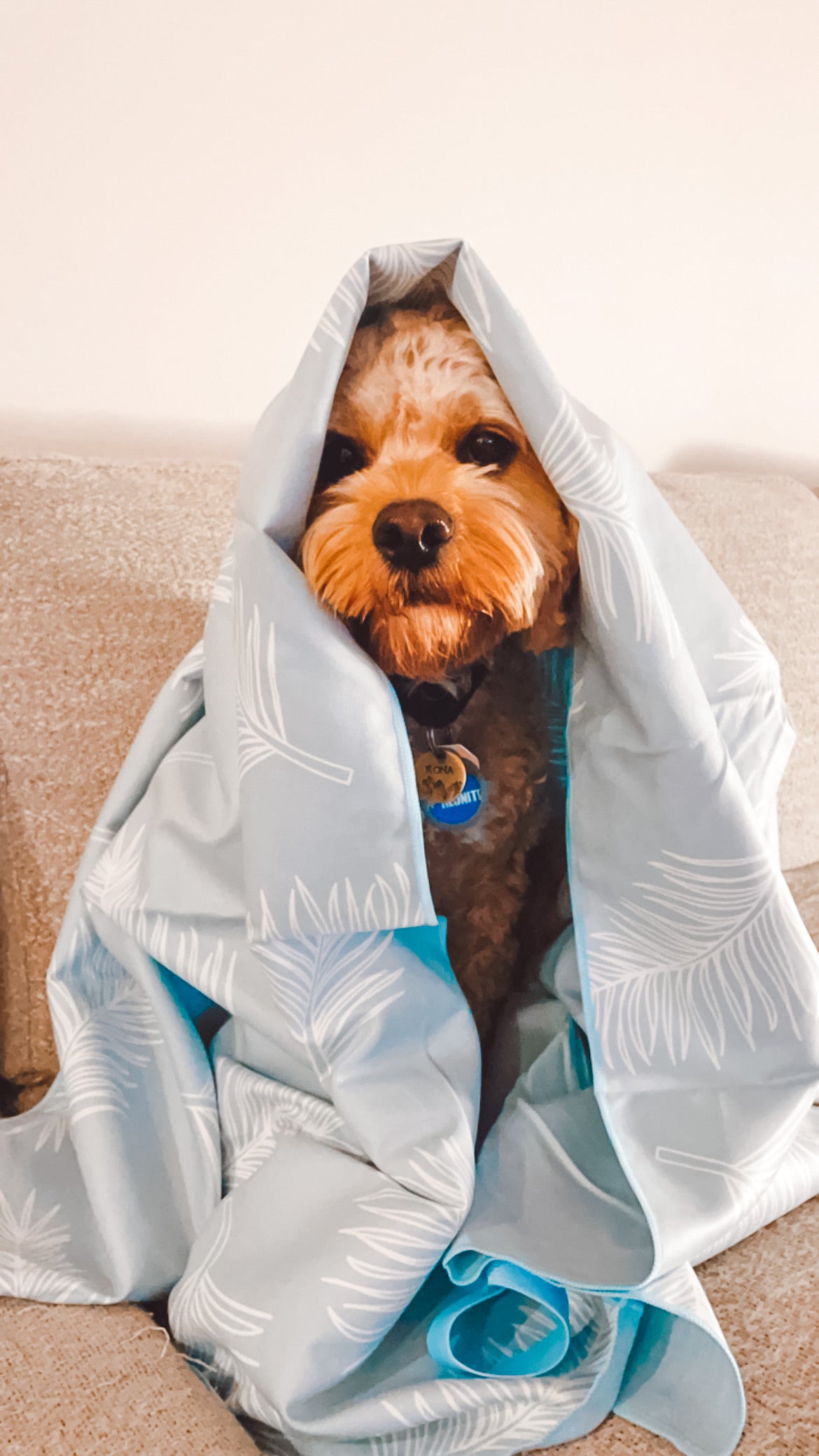 TOWEL - CLOUD BLUE PALM