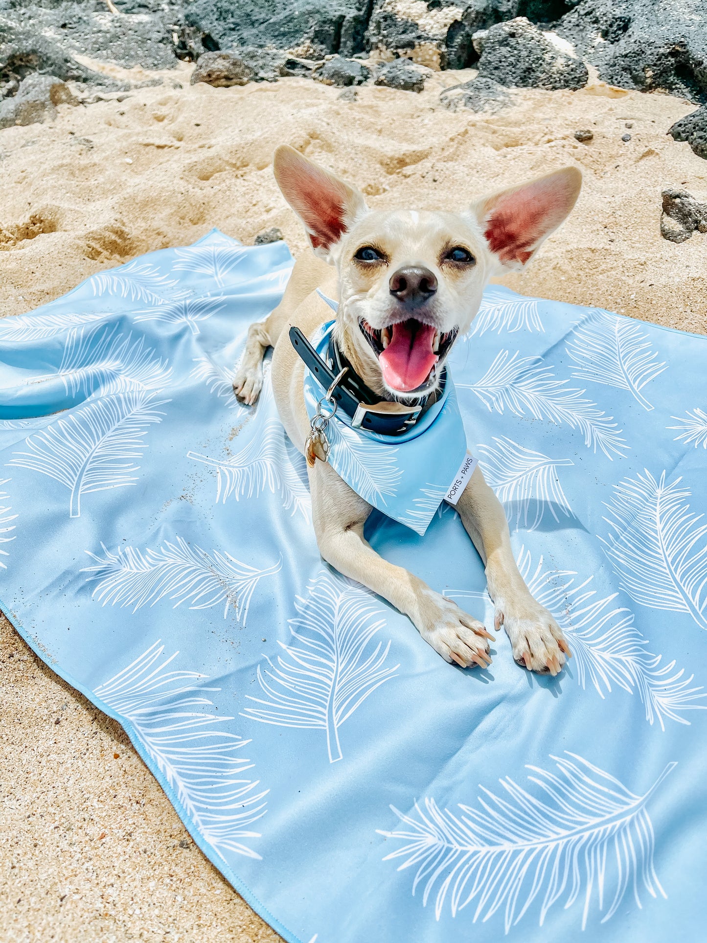 QUICK DRY BANDANA - CLOUD BLUE PALM