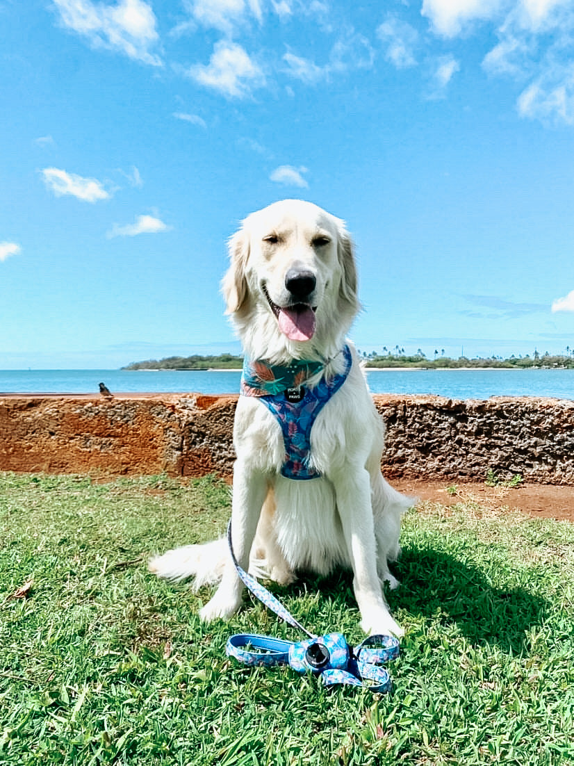 POOP BAG HOLDER - PORTER