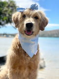 QUICK DRY BANDANA - CLOUD BLUE PALM