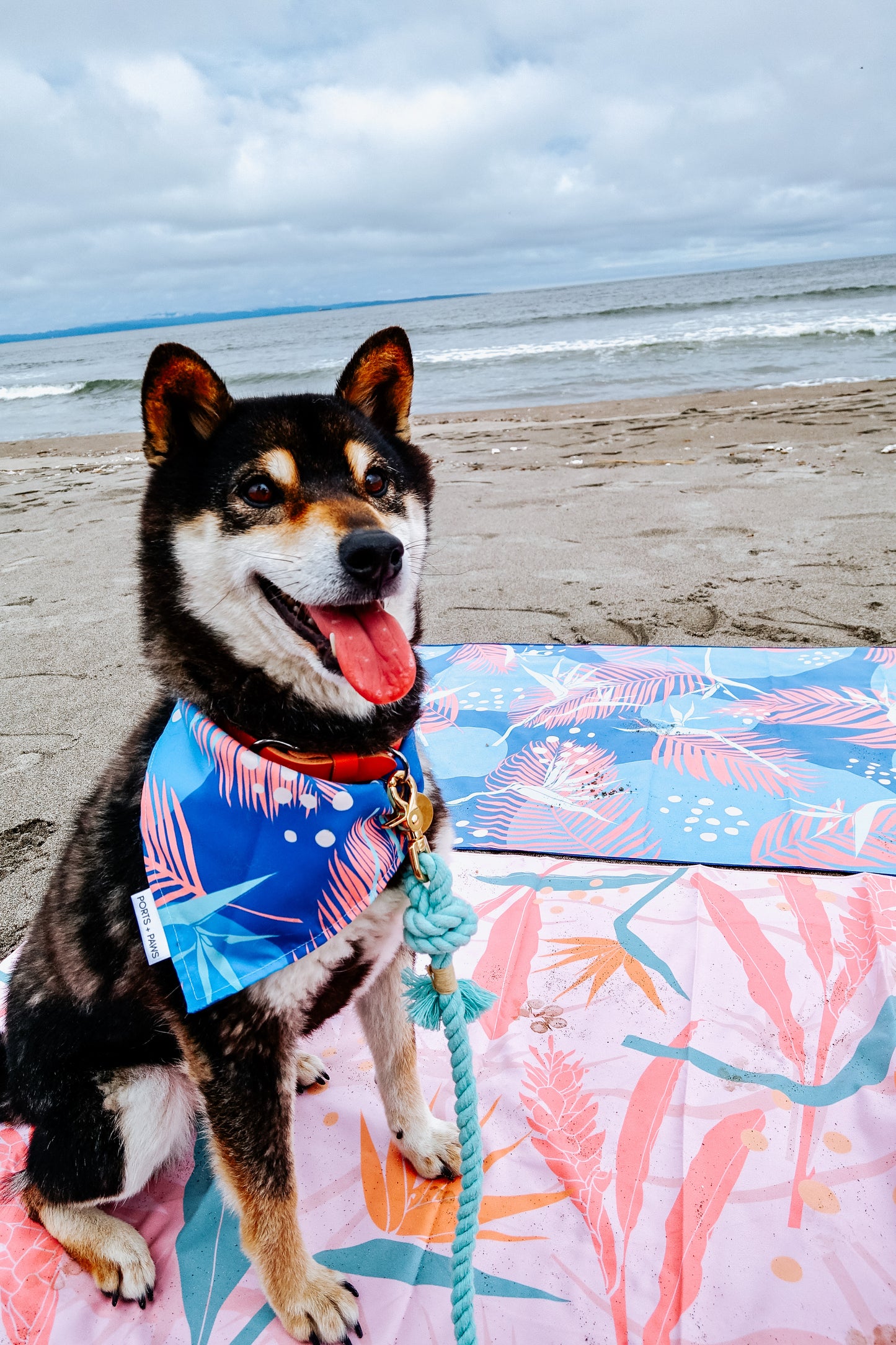 QUICK DRY BANDANA - PORTER