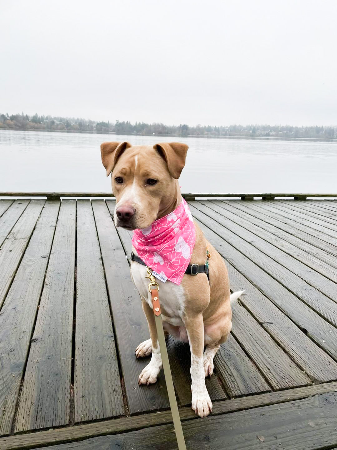 QUICK DRY BANDANA - ANTHURIUM PINK