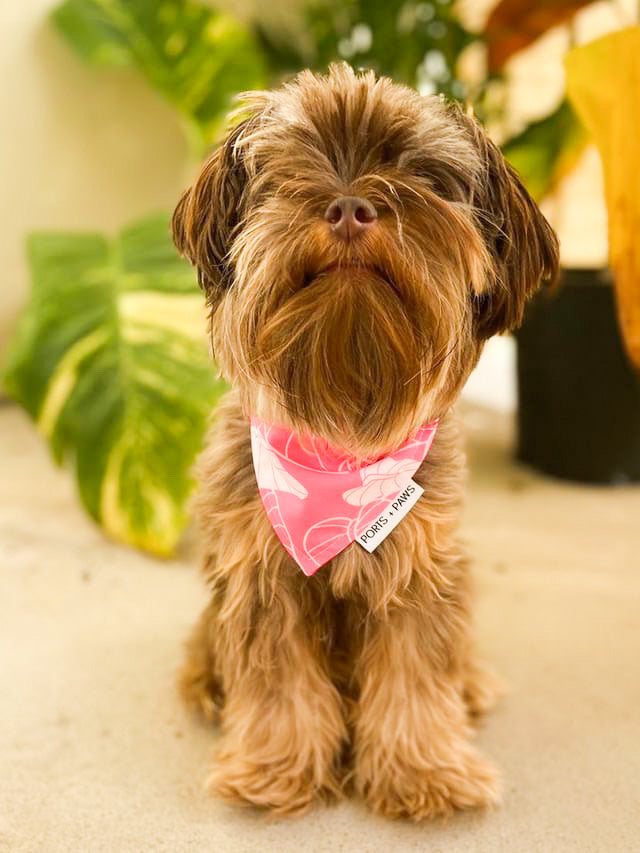 QUICK DRY BANDANA - ANTHURIUM PINK