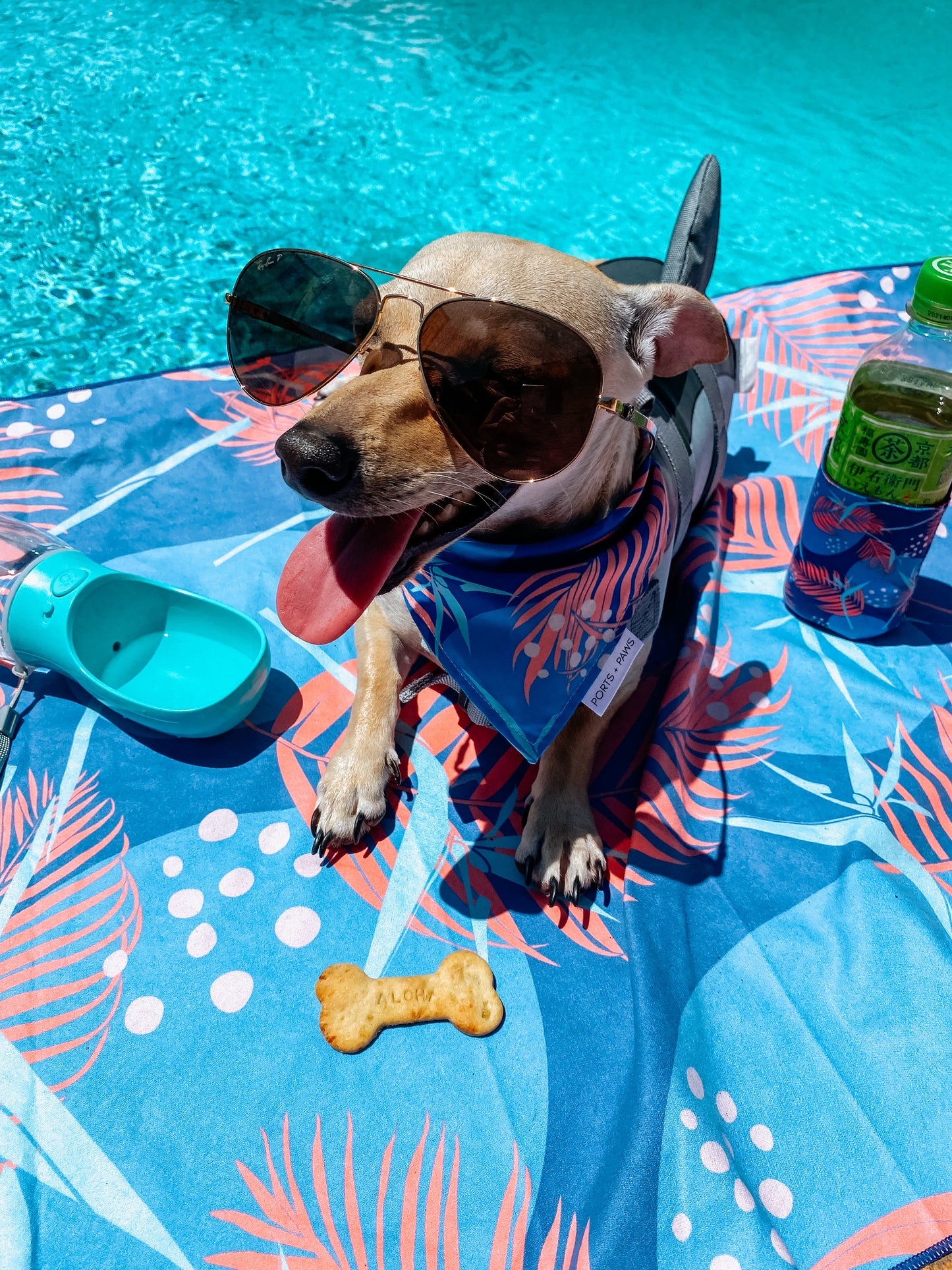 QUICK DRY BANDANA - PORTER