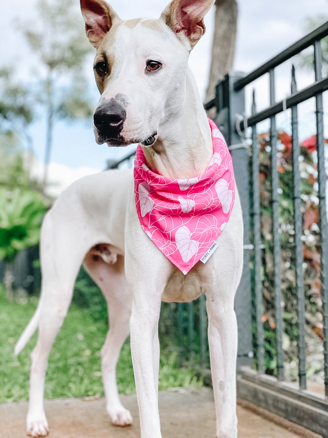 QUICK DRY BANDANA - ANTHURIUM PINK