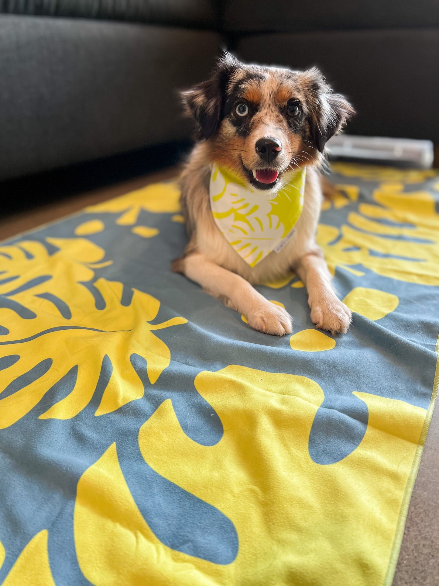 QUICK DRY BANDANA - MONSTERA LEMON