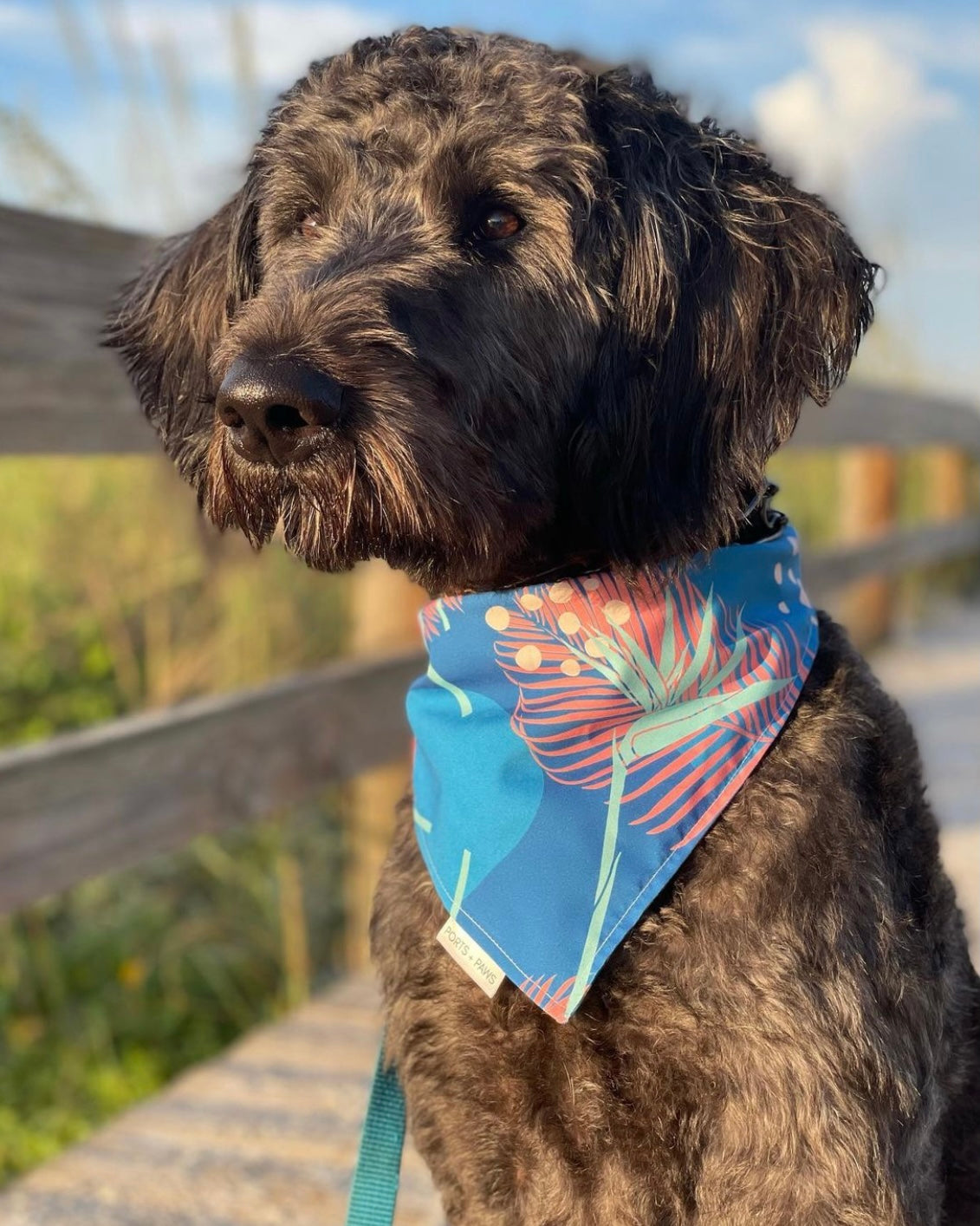 QUICK DRY BANDANA - PORTER